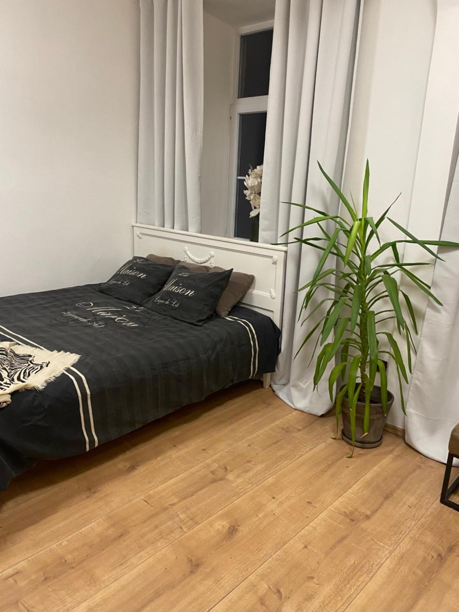 Apartman Trznice Olomouc Exterior photo